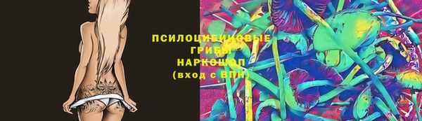 прущий лед Верея